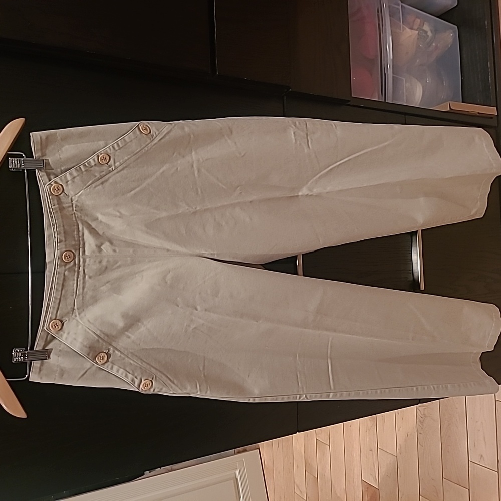 The Limited Tan Casual Pants